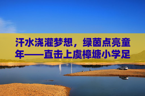汗水浇灌梦想,绿茵点亮童年——直击上虞樟塘小学足球采访现场