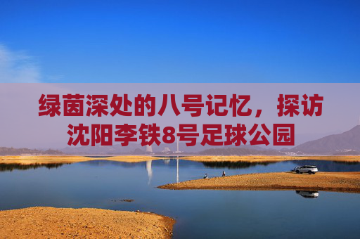 绿茵深处的八号记忆,探访沈阳李铁8号足球公园