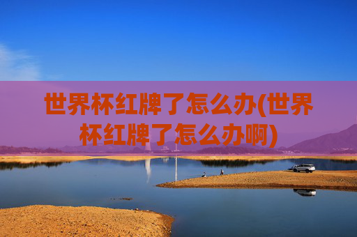 世界杯红牌了怎么办(世界杯红牌了怎么办啊)