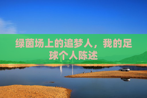 绿茵场上的追梦人,我的足球个人陈述