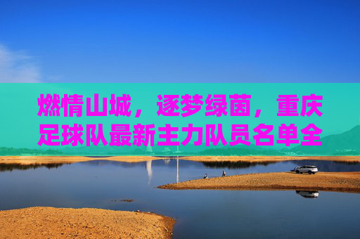 燃情山城,逐梦绿茵,重庆足球队最新主力队员名单全解析