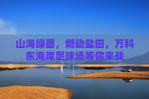 山海绿茵,燃动盐田,万科东海岸足球场等你来战