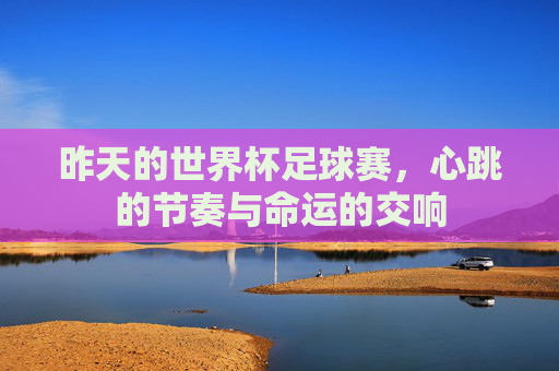 昨天的世界杯足球赛,心跳的节奏与命运的交响