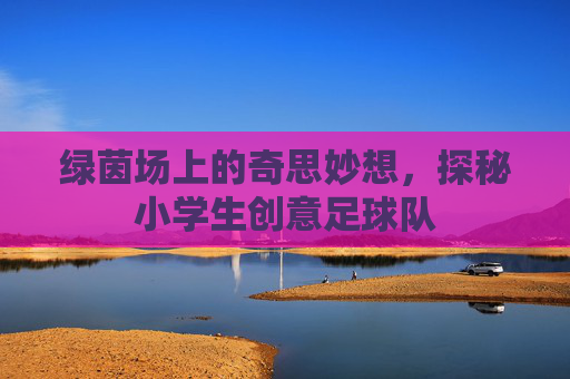绿茵场上的奇思妙想,探秘小学生创意足球队