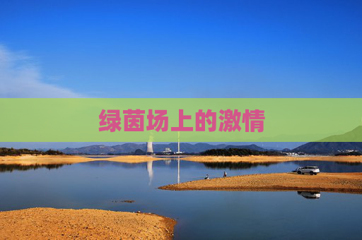 绿茵场上的激情