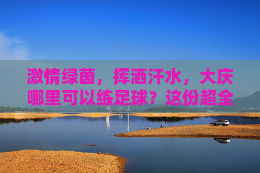 激情绿茵,挥洒汗水,大庆哪里可以练足球?这份超全攻略请收好!