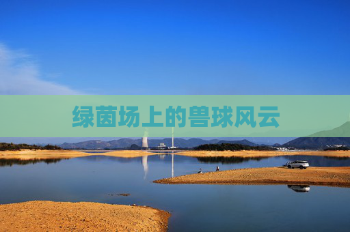 绿茵场上的兽球风云