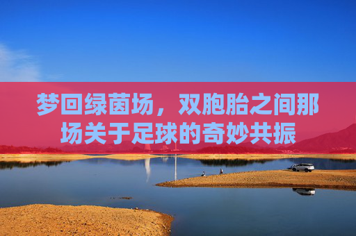 梦回绿茵场,双胞胎之间那场关于足球的奇妙共振