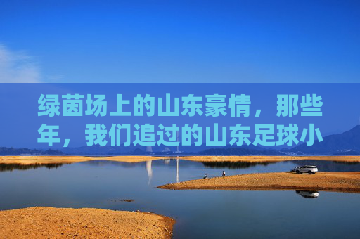 绿茵场上的山东豪情，那些年，我们追过的山东足球小故事