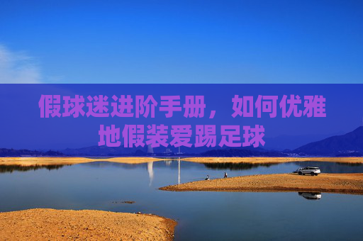 假球迷进阶手册,如何优雅地假装爱踢足球