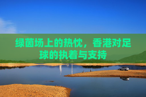 绿茵场上的热忱,香港对足球的执着与支持