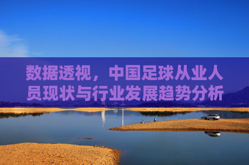 数据透视,中国足球从业人员现状与行业发展趋势分析