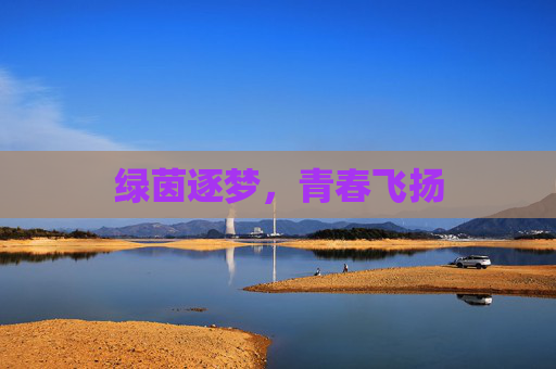 绿茵逐梦,青春飞扬