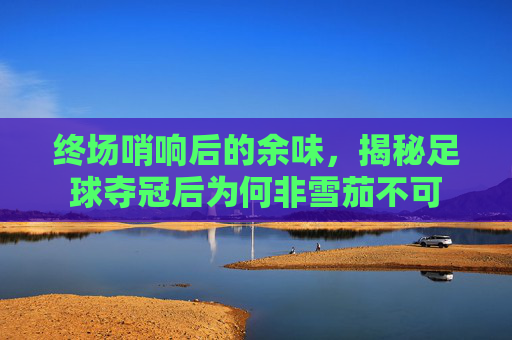 终场哨响后的余味,揭秘足球夺冠后为何非雪茄不可
