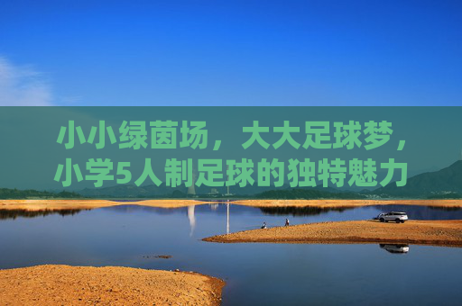 小小绿茵场,大大足球梦,小学5人制足球的独特魅力