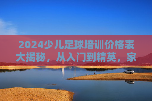 2024少儿足球培训价格表大揭秘,从入门到精英,家长如何避坑?