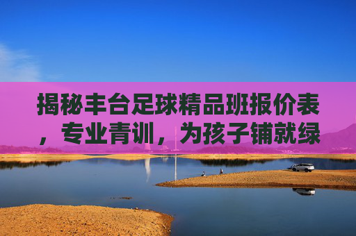 揭秘丰台足球精品班报价表,专业青训,为孩子铺就绿茵梦想之路