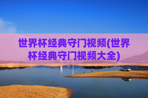世界杯经典守门视频(世界杯经典守门视频大全)