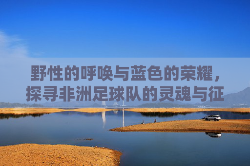 野性的呼唤与蓝色的荣耀,探寻非洲足球队的灵魂与征程