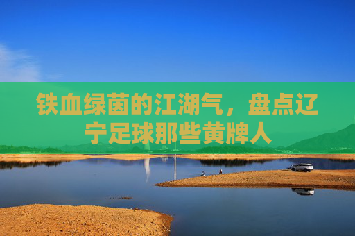 铁血绿茵的江湖气,盘点辽宁足球那些黄牌人