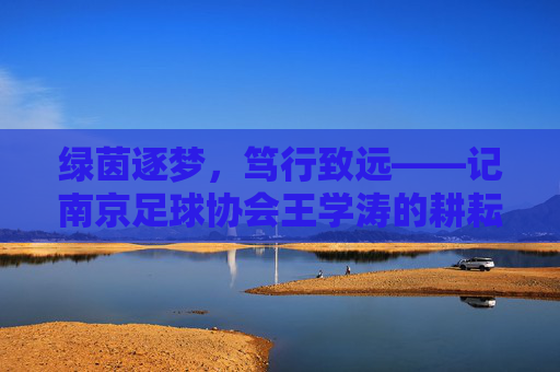 绿茵逐梦,笃行致远——记南京足球协会王学涛的耕耘与担当