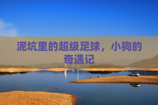 泥坑里的超级足球,小狗的奇遇记