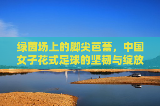 绿茵场上的脚尖芭蕾,中国女子花式足球的坚韧与绽放