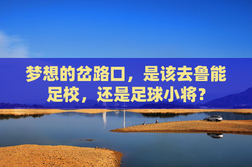 梦想的岔路口,是该去鲁能足校,还是足球小将?