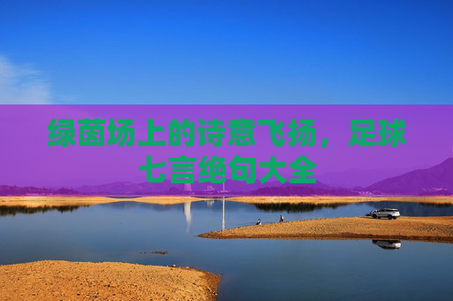 绿茵场上的诗意飞扬,足球七言绝句大全