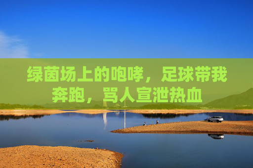 绿茵场上的咆哮,足球带我奔跑,骂人宣泄热血