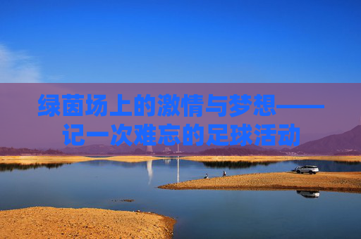 绿茵场上的激情与梦想——记一次难忘的足球活动