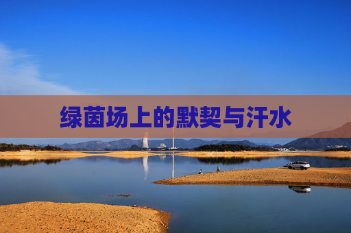 绿茵场上的默契与汗水