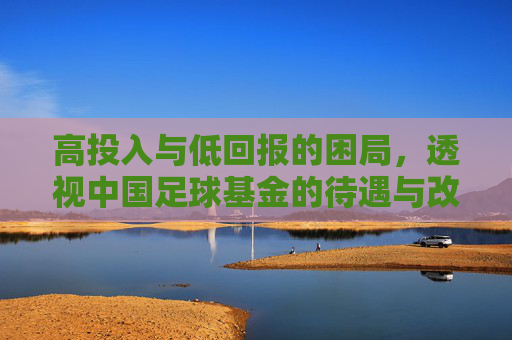 高投入与低回报的困局,透视中国足球基金的待遇与改革