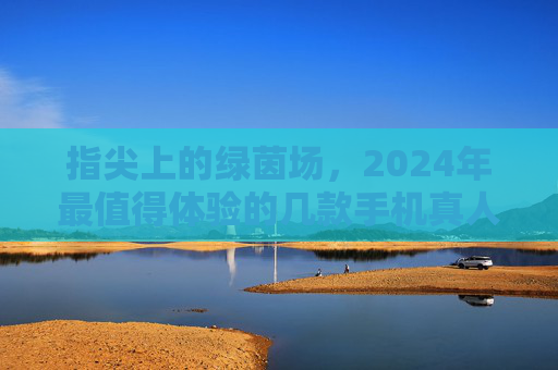指尖上的绿茵场,2024年最值得体验的几款手机真人足球游戏