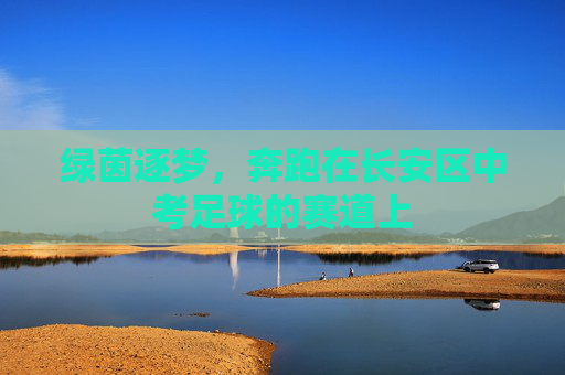 绿茵逐梦,奔跑在长安区中考足球的赛道上