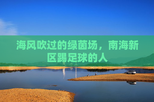 海风吹过的绿茵场,南海新区踢足球的人