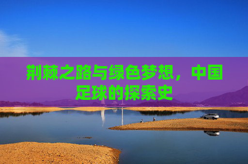 荆棘之路与绿色梦想,中国足球的探索史