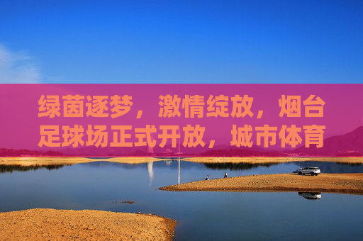 绿茵逐梦，激情绽放，烟台足球场正式开放，城市体育新地标崛起