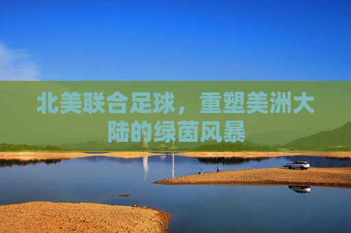 北美联合足球,重塑美洲大陆的绿茵风暴