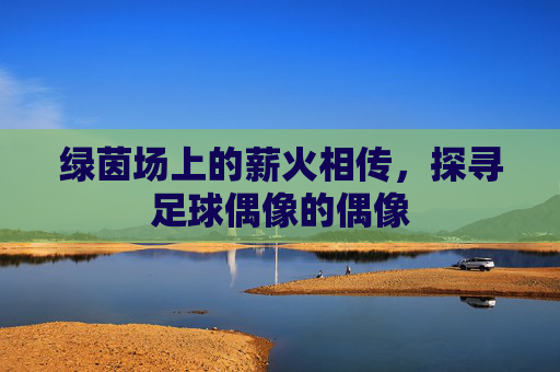 绿茵场上的薪火相传,探寻足球偶像的偶像