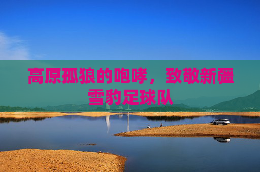 高原孤狼的咆哮，致敬新疆雪豹足球队