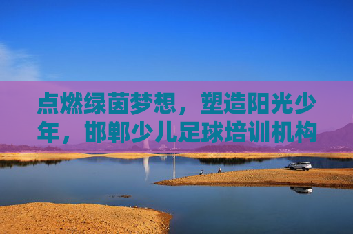 点燃绿茵梦想,塑造阳光少年,邯郸少儿足球培训机构的选择指南