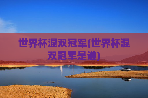世界杯混双冠军(世界杯混双冠军是谁)