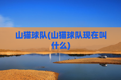 山猫球队(山猫球队现在叫什么)