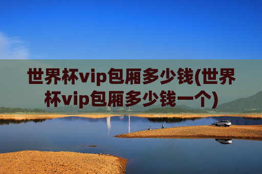 世界杯vip包厢多少钱(世界杯vip包厢多少钱一个)