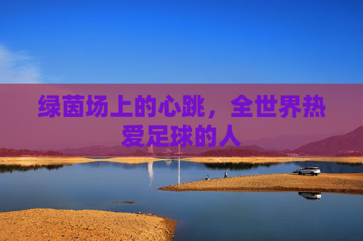 绿茵场上的心跳,全世界热爱足球的人