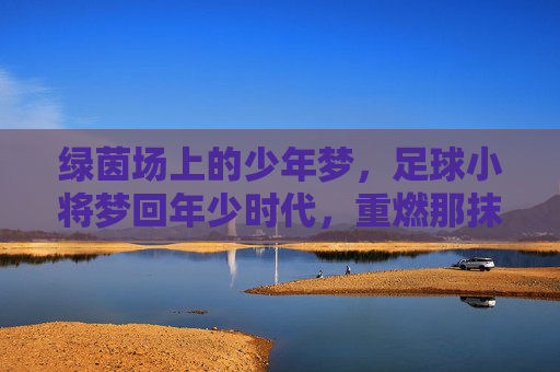 绿茵场上的少年梦,足球小将梦回年少时代,重燃那抹热血