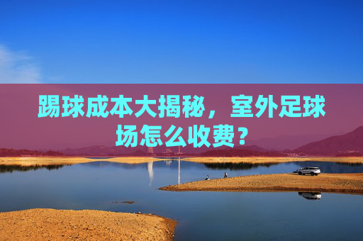 踢球成本大揭秘,室外足球场怎么收费?