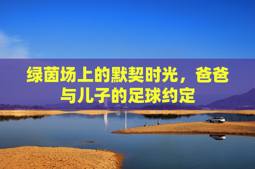绿茵场上的默契时光,爸爸与儿子的足球约定