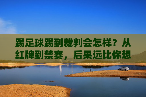 踢足球踢到裁判会怎样?从红牌到禁赛,后果远比你想象的严重